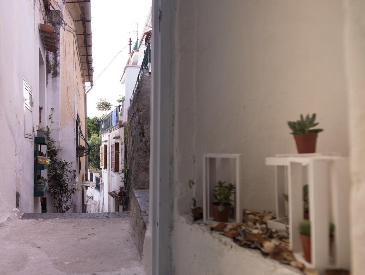 Amalfi Coast Sea View Vila Vietri Exterior foto